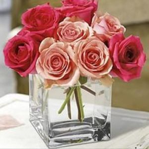 Meet your Posher, Daniela